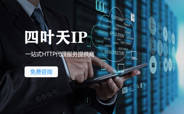 【日土代理IP】IP被限制了怎么办？